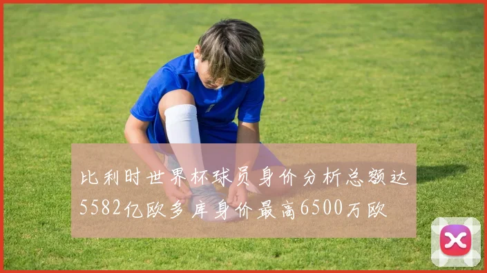 比利时世界杯球员身价分析总额达5582亿欧多库身价最高6500万欧